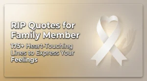 RIP Quotes for Family Member – 175+ Heart-Touching Lines to Express Your Feelings