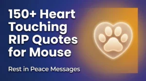 150+ Heart touching RIP Quotes for Mouse - Rest in Peace Messages
