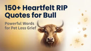 150+ Heartfelt RIP Quotes for Bull - Powerful Words for Pet Loss Grief