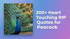 200+ Heart Touching RIP Quotes for Peacock – Honour the Majestic Bird
