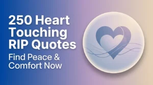 250 Heart Touching RIP Quotes for Administrator – Find Peace & Comfort Now